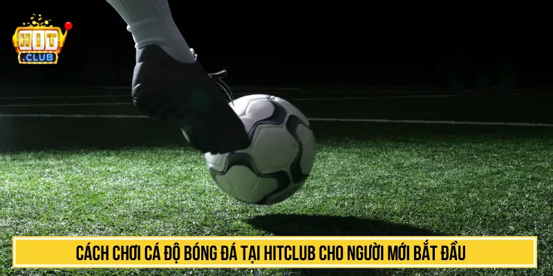Cách Chơi Cá Độ Bóng Đá Tại HITCLUB Cho Người Mới Bắt Đầu