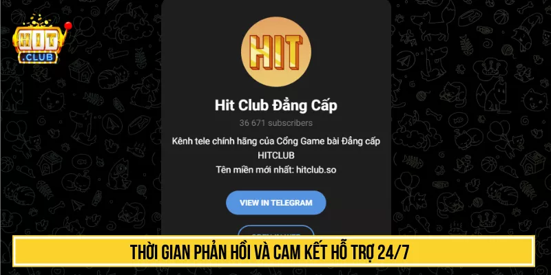 Thời gian phản hồi và cam kết hỗ trợ 24/7
